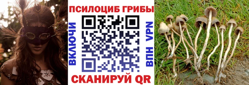 кракен вход  Коммунар  Галлюциногенные грибы MAGIC MUSHROOMS 